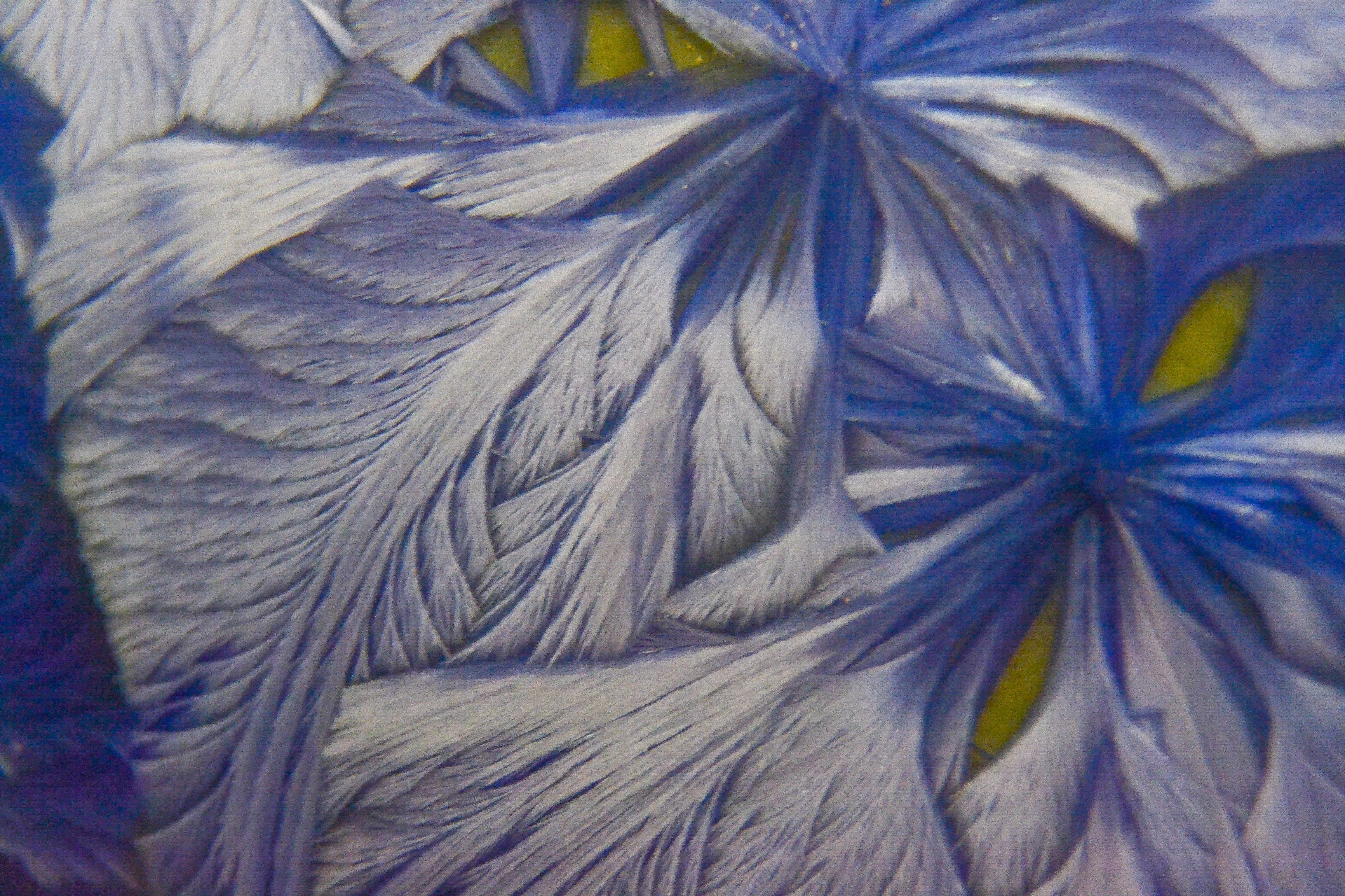 Feather like structures on a large crystal sample 1