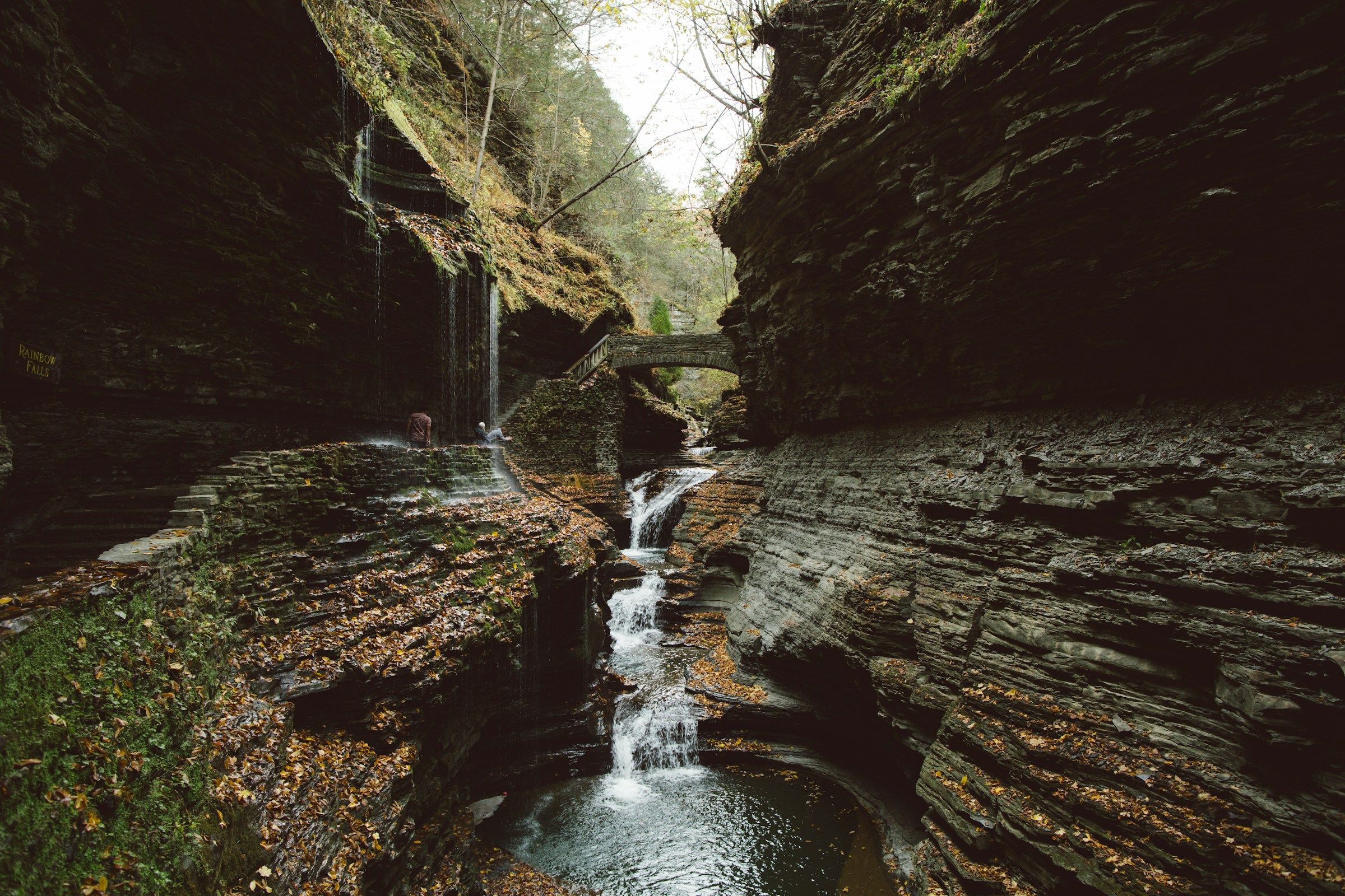 Watkins Glen State Park